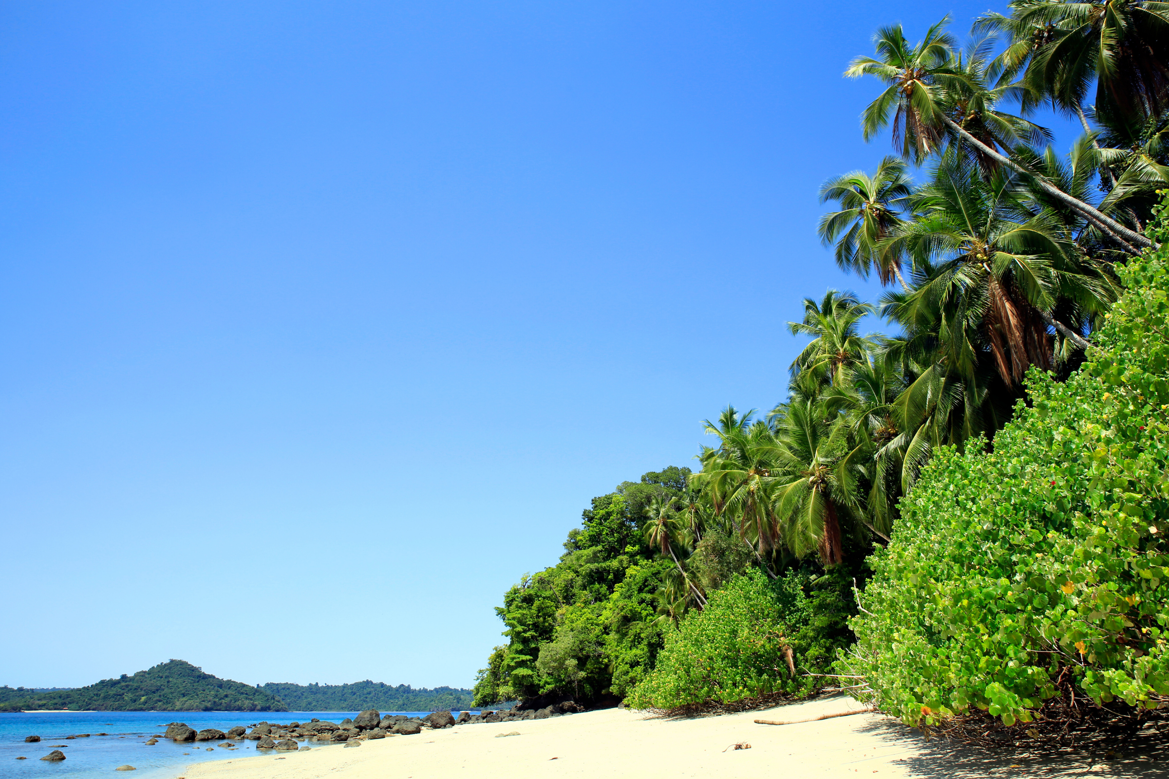 39 darien national park, panama.webp
